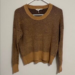 BCBG Tan and Brown Crew Neck Sweater